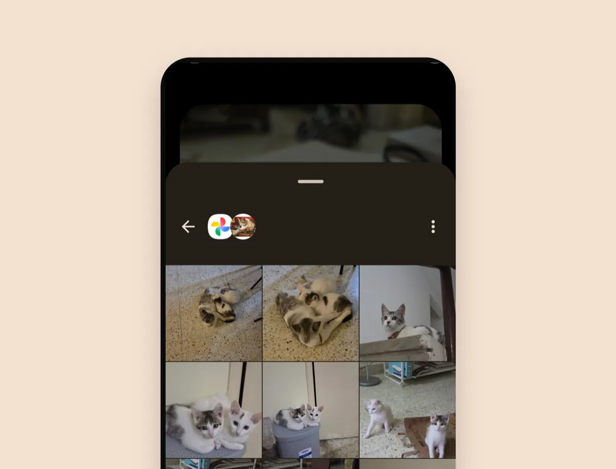 Import photos from your gallery